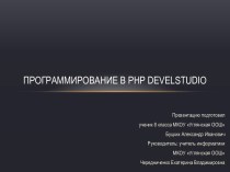 Программирование в PHP DevelStudio