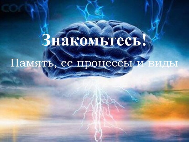 Знакомьтесь!Память, ее процессы и виды