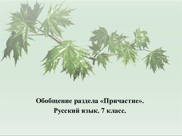 Обобщение раздела «Причастие».Русский язык. 7 класс.