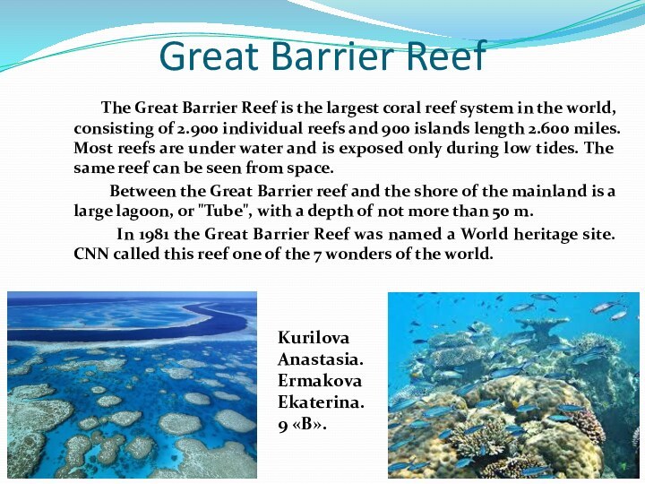 Great Barrier Reef      The Great Barrier Reef