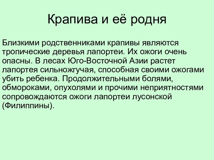 Крапива и её родняБлизкими родственниками крапивы являются тропические деревья лапортеи. Их ожоги