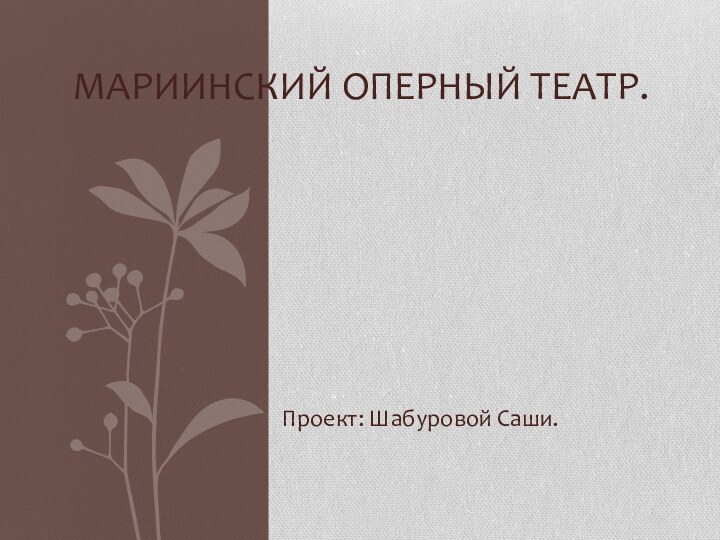 Проект: Шабуровой Саши.Мариинский оперный театр.