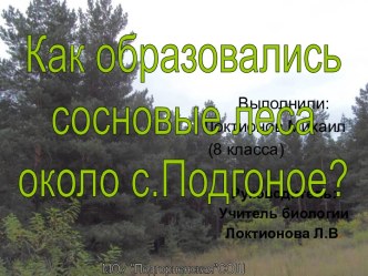 Как образовались сосновые леса около с.Подгоное?