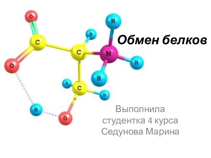 Обмен белковВыполнила студентка 4 курса Седунова Марина