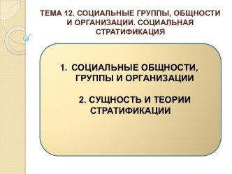 ТЕМА 12. Социальные группы, общности и организации. Социальная стратификация