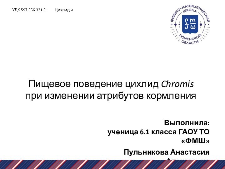 Пищевое поведение цихлид Chromis  при изменении атрибутов кормленияВыполнила: ученица 6.1