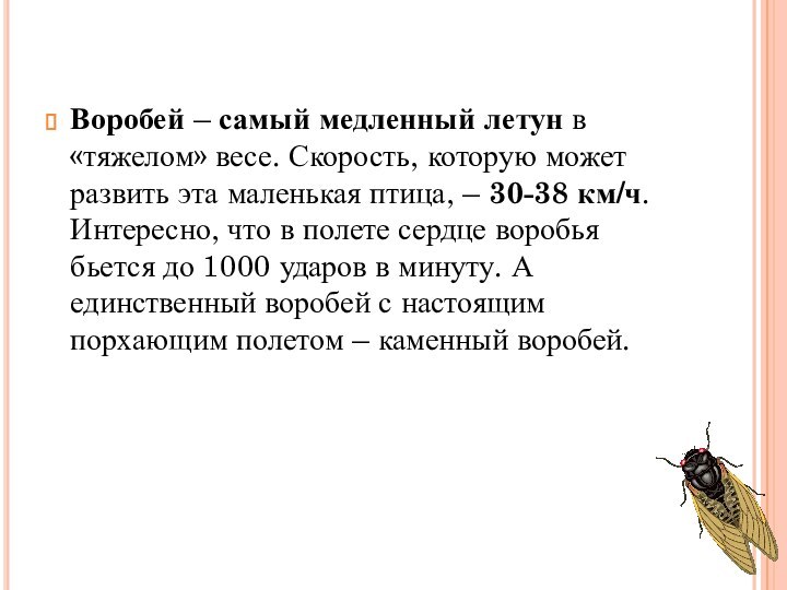 Воробей – самый медленный летун в «тяжелом» весе. Скорость, которую может развить