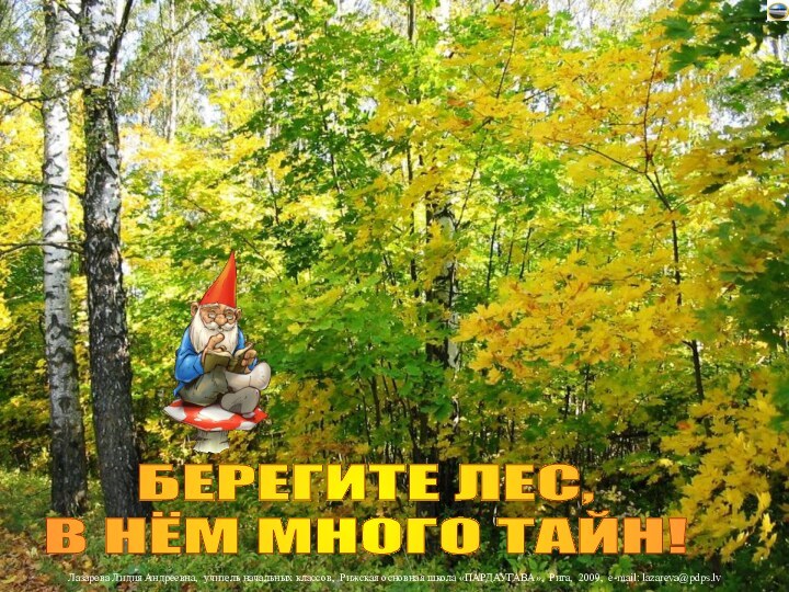 БЕРЕГИТЕ ЛЕС,В НЁМ МНОГО ТАЙН!