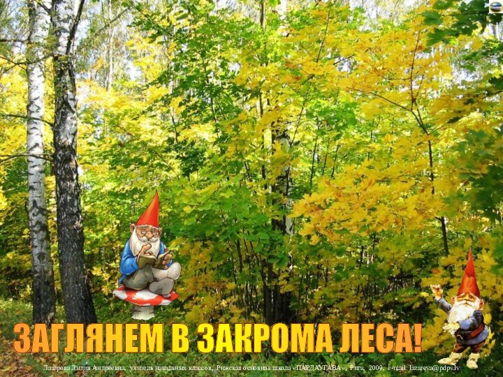 ЗАГЛЯНЕМ В ЗАКРОМА ЛЕСА!