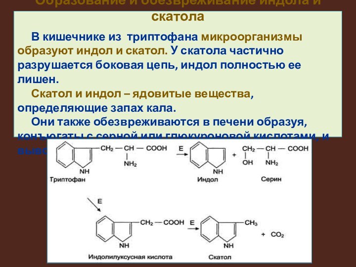 Чем отличается индол