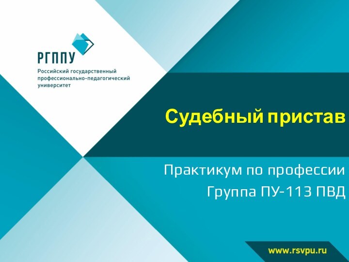 Судебный приставПрактикум по профессииГруппа ПУ-113 ПВД