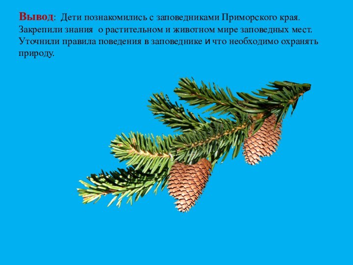 Вывод: Дети познакомились с заповедниками Приморского края. Закрепили знания о растительном и