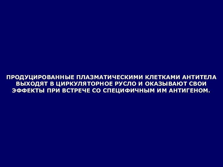 ПРОДУЦИРОВАННЫЕ ПЛАЗМАТИЧЕСКИМИ КЛЕТКАМИ АНТИТЕЛА ВЫХОДЯТ В ЦИРКУЛЯТОРНОЕ РУСЛО И ОКАЗЫВАЮТ СВОИ ЭФФЕКТЫ