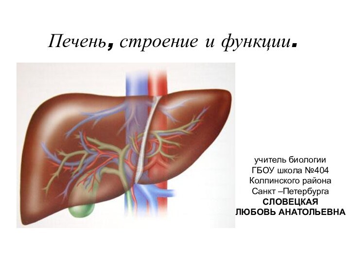 Печень, строение и функции.учитель биологииГБОУ школа №404Колпинского районаСанкт –ПетербургаСЛОВЕЦКАЯЛЮБОВЬ АНАТОЛЬЕВНА