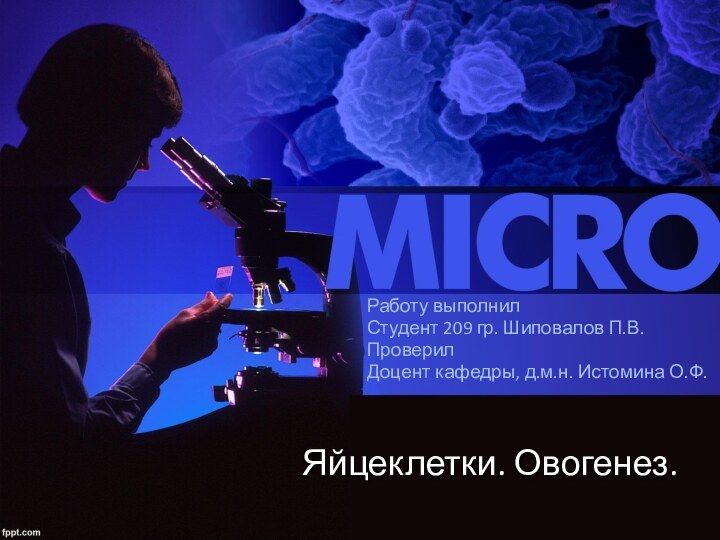 Яйцеклетки. Овогенез.Работу выполнилСтудент 209 гр. Шиповалов П.В.ПроверилДоцент кафедры, д.м.н. Истомина О.Ф.