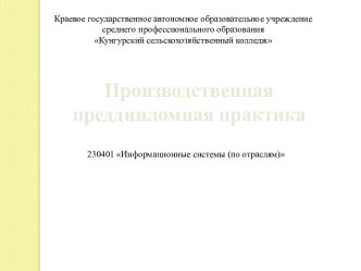 Производственная преддипломная практика: Информационные системы (по отраслям)