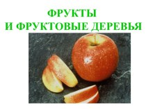 Фрукты и фруктовые деревья