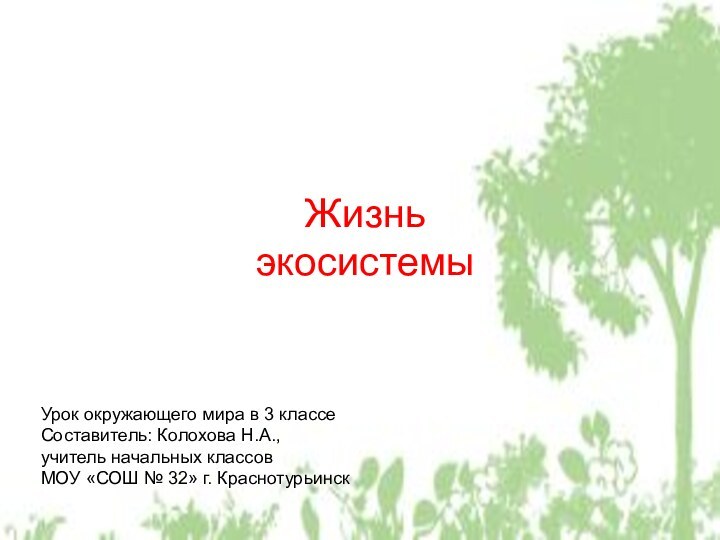 Жизнь экосистемыУрок окружающего мира в 3 классеСоставитель: Колохова Н.А., учитель начальных классов