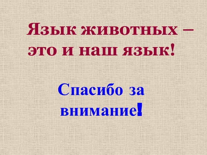 Язык животных – это и наш язык!Спасибо за внимание!