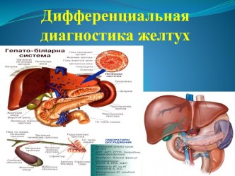 Дифференциальная диагностика желтух