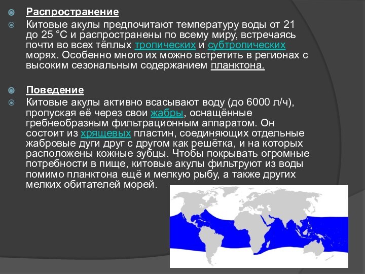 РаспространениеКитовые акулы предпочитают температуру воды от 21 до 25 °C и распространены