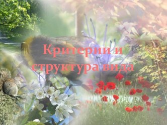 Критерии и структура вида