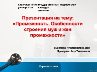 Промежность. Особенности строения муж и жен промежности