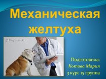 Механическая желтуха