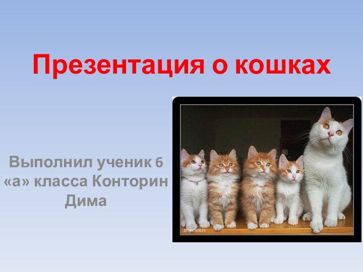 Презентация о кошкахВыполнил ученик 6 «а» класса Конторин Дима