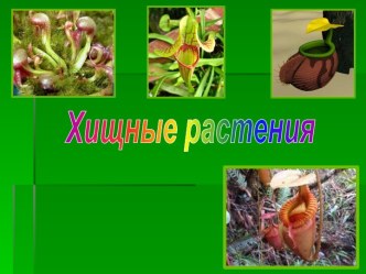 Хищные растения