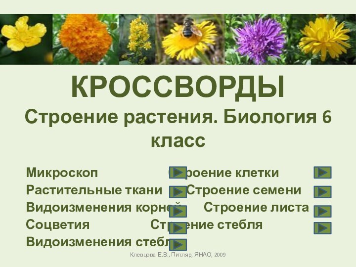 КРОССВОРДЫ Строение растения. Биология 6 классМикроскоп				Строение клеткиРастительные ткани		Строение семениВидоизменения корней		Строение листаСоцветия				Строение стебляВидоизменения