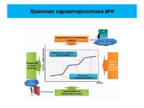 Краткая характеристика bpr