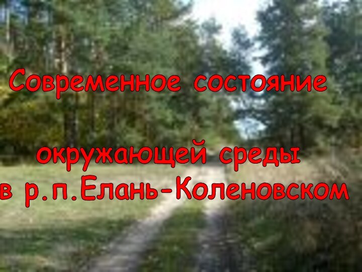 Современное состояние окружающей среды в р.п.Елань-Коленовском