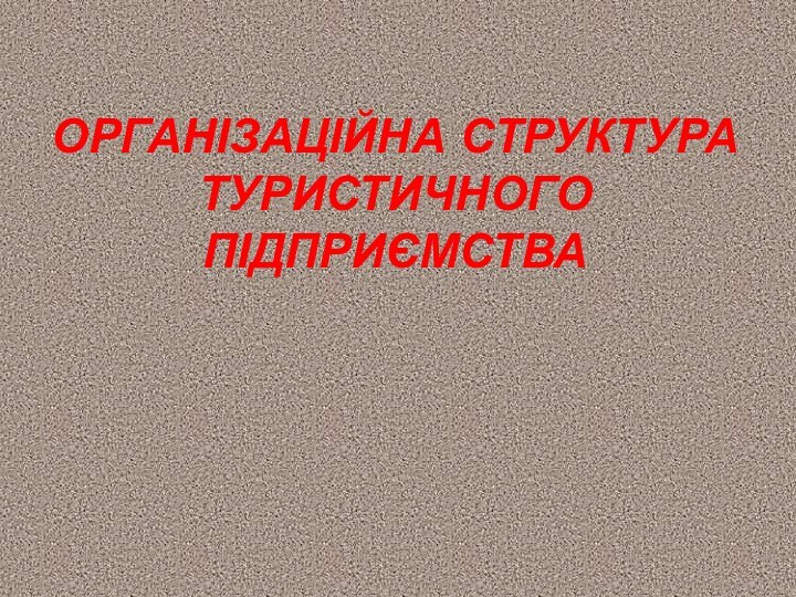 Організаційна структура туристичного підприємства