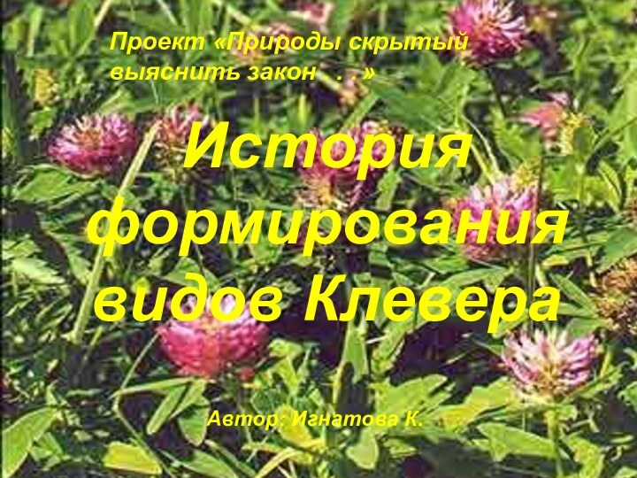 Проект «Природы скрытый выяснить закон . . . »История формирования видов Клевера								Автор: Игнатова К.