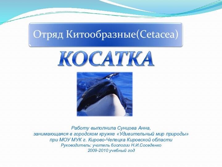 Работу выполнила Сунцова Анна, занимающаяся в городском кружке «Удивительный мир природы»