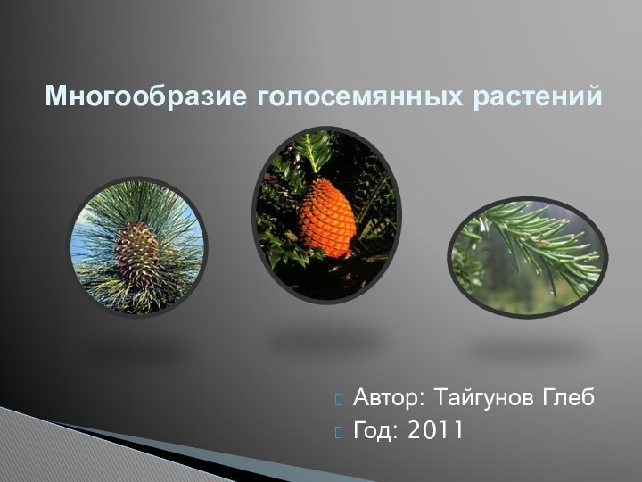 Многообразие голосемянных растенийАвтор: Тайгунов ГлебГод: 2011