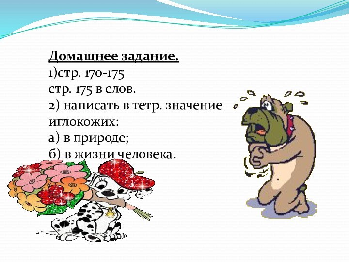 Домашнее задание.1)стр. 170-175стр. 175 в слов.2) написать в тетр. значение иглокожих:а) в природе;б) в жизни человека.