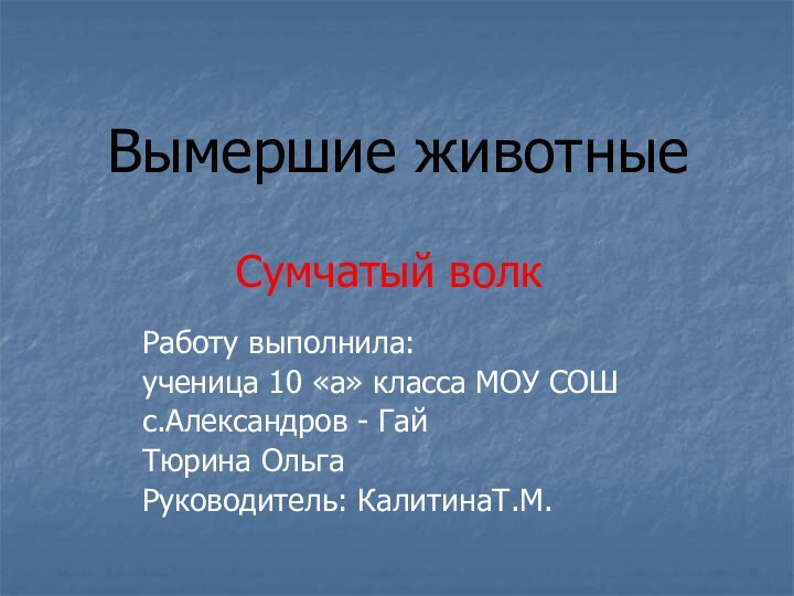 Вымершие животныеСумчатый волкРаботу выполнила: ученица 10 «а» класса МОУ СОШс.Александров - ГайТюрина ОльгаРуководитель: КалитинаТ.М.