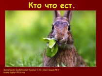 Кто что ест