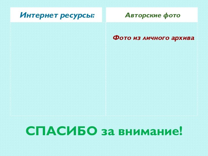 СПАСИБО за внимание!Интернет ресурсы:Авторские фотоФото из личного архива