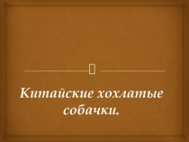 Китайские хохлатые собачки.