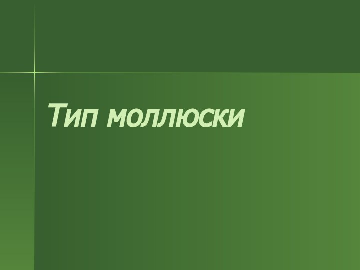 Тип моллюски