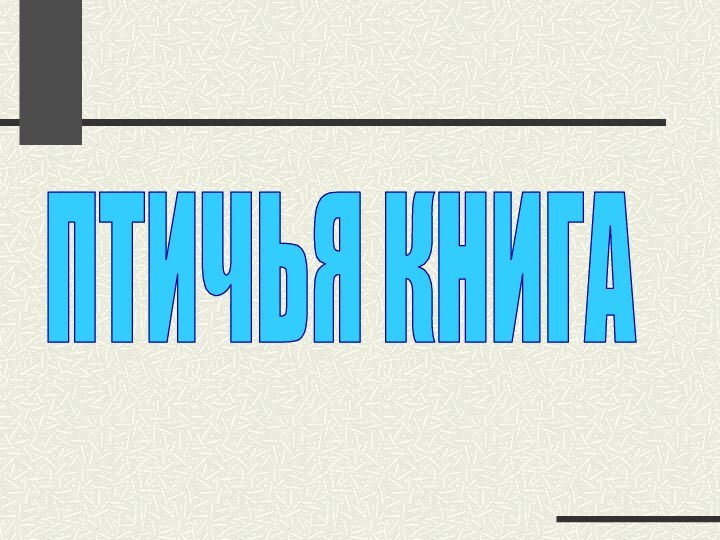 ПТИЧЬЯ КНИГА