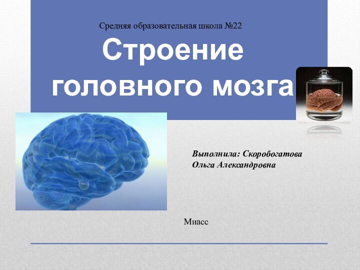 Строение головного мозгаВыполнила: Скоробогатова Ольга Александровна Средняя образовательная школа №22Миасс