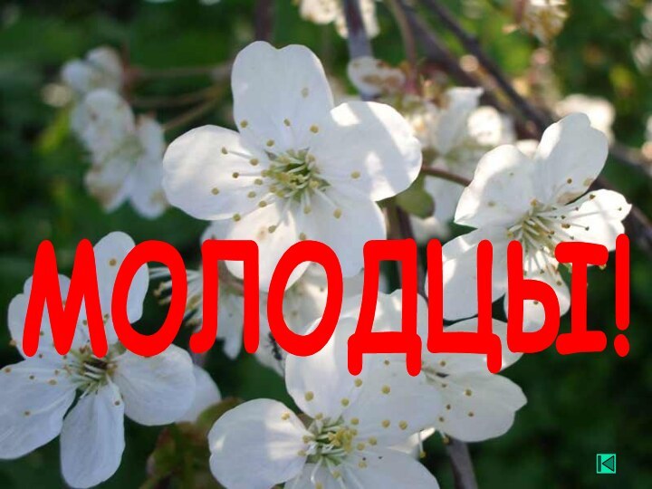 МОЛОДЦЫ!