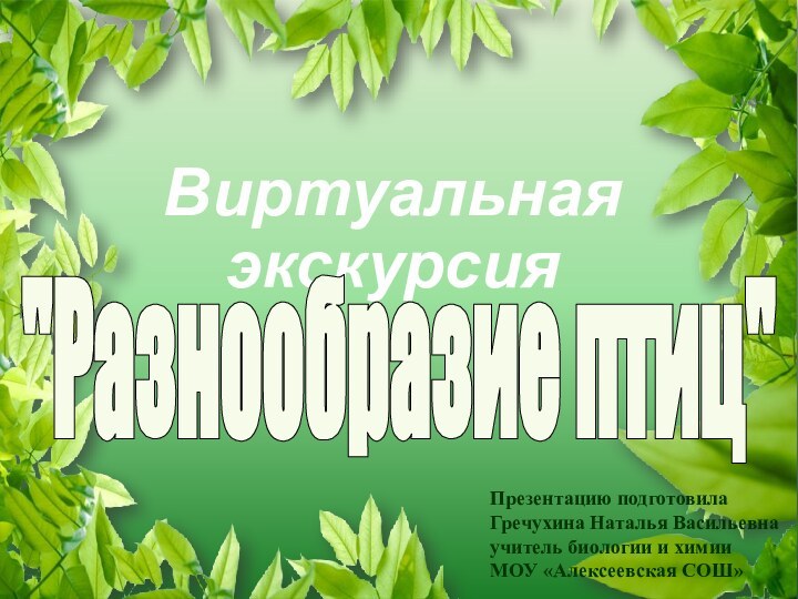 Виртуальная экскурсия 