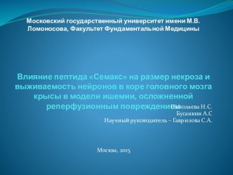 Влияние пептида Семакс на размер некроза и выживаемость нейронов в коре головного мозга