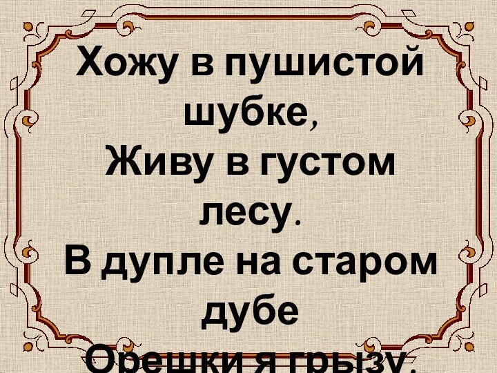 БЕЛОЧКАХожу в пушистой шубке, Живу в густом лесу. В дупле на старом