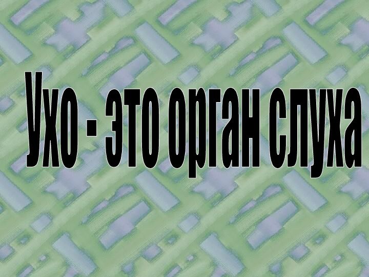 Ухо - это орган слуха